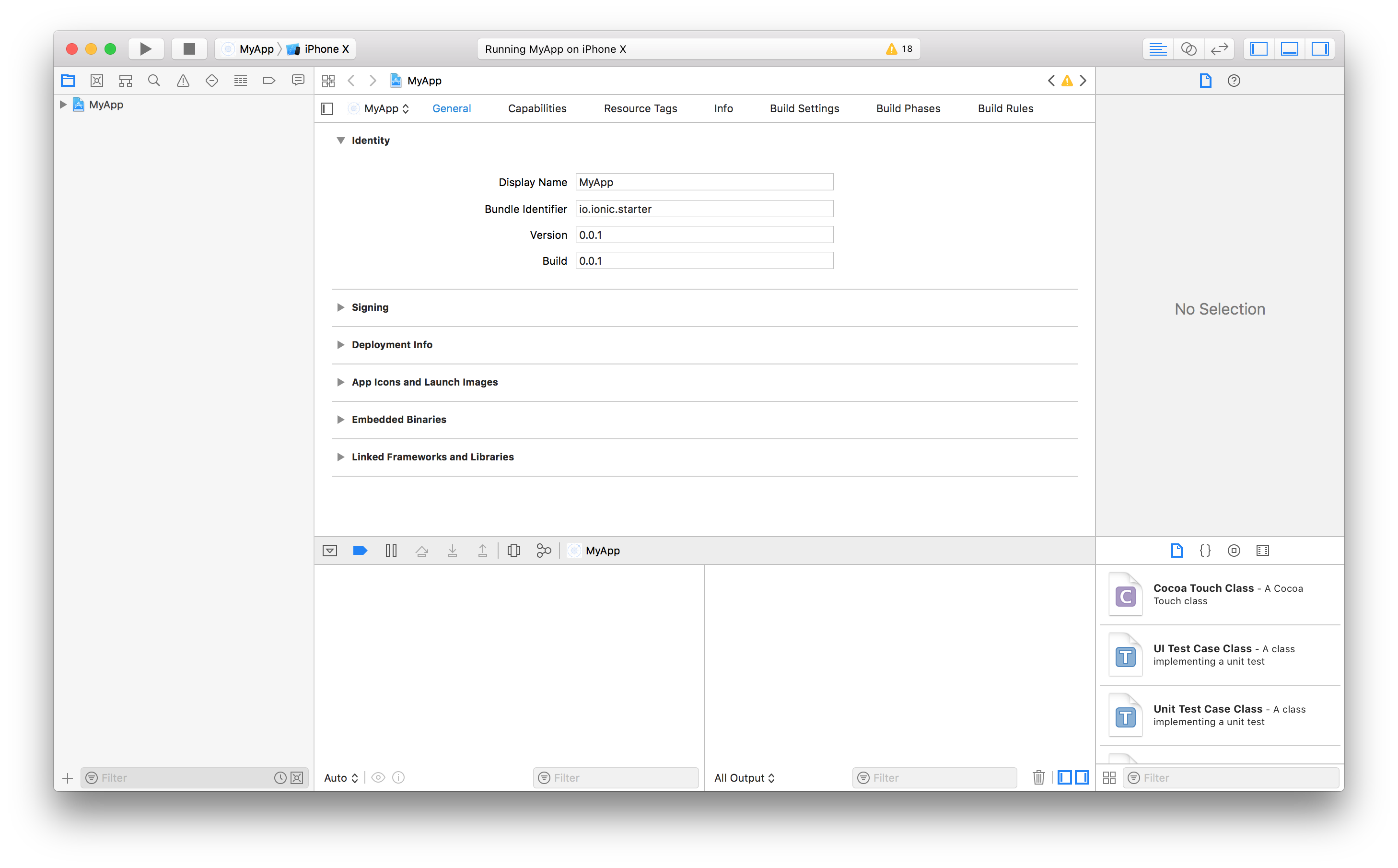 Xcode Identity Section Xcode showing the Identity section for an iOS app with fields for Display Name, Bundle Identifier, Version, and Build.